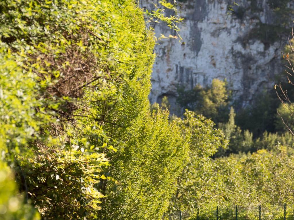 Le Moulin De La Maison Des Templiers Villa Saint-Cernin-de-Larche Luaran gambar